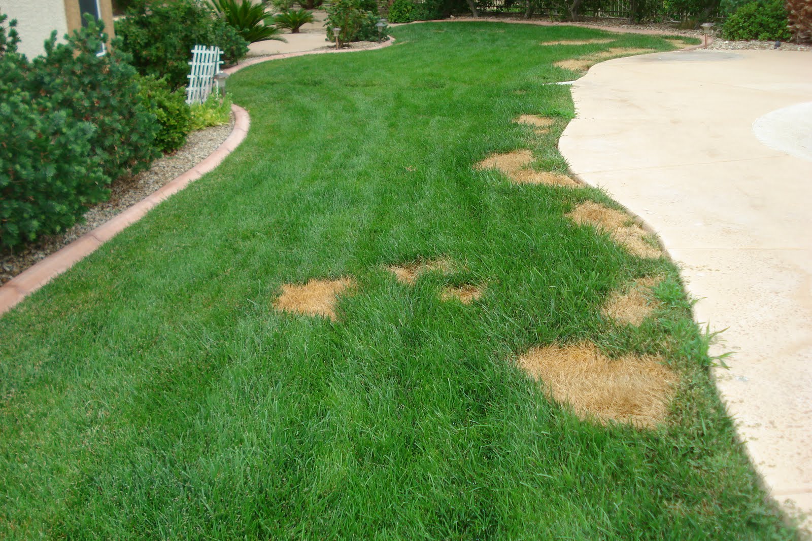 lawn before 